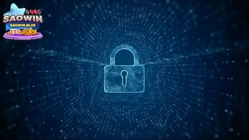 Chính sách Thu thập Dữ liệu